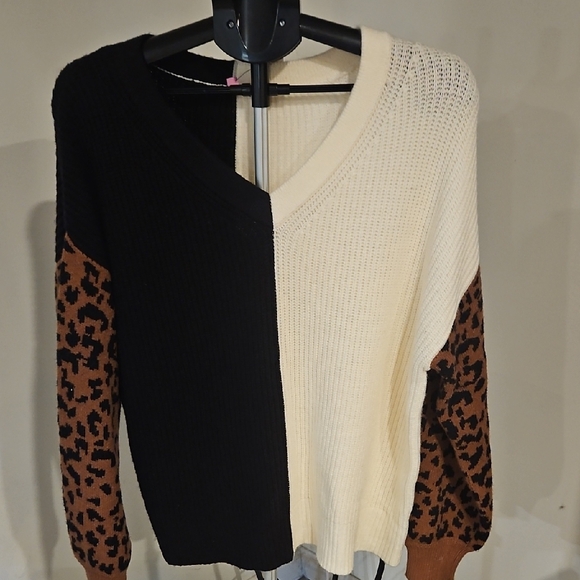 Francesca's Collections Sweaters - Francesca's Collections Black and Cream V-Neck Sweater